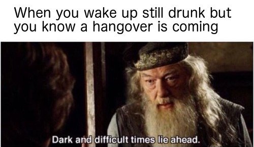 When you wake up still drunk but you know a hangover is coming meme