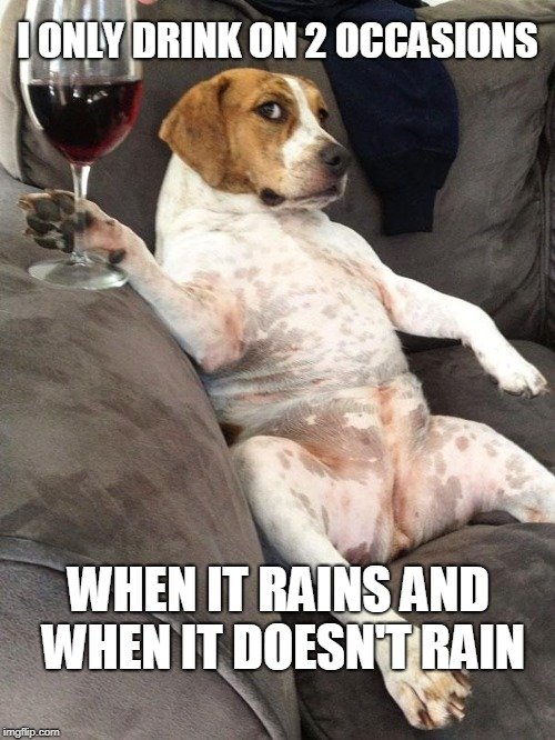 I only drink on 2 occasions when it rains and when it doesnt rain meme