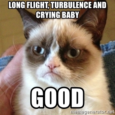 Long flight, turbulance & crying baby good meme