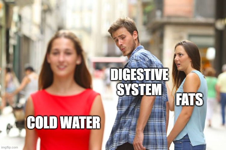 DIGESTIVE SYSTEM; FATS; COLD WATER
