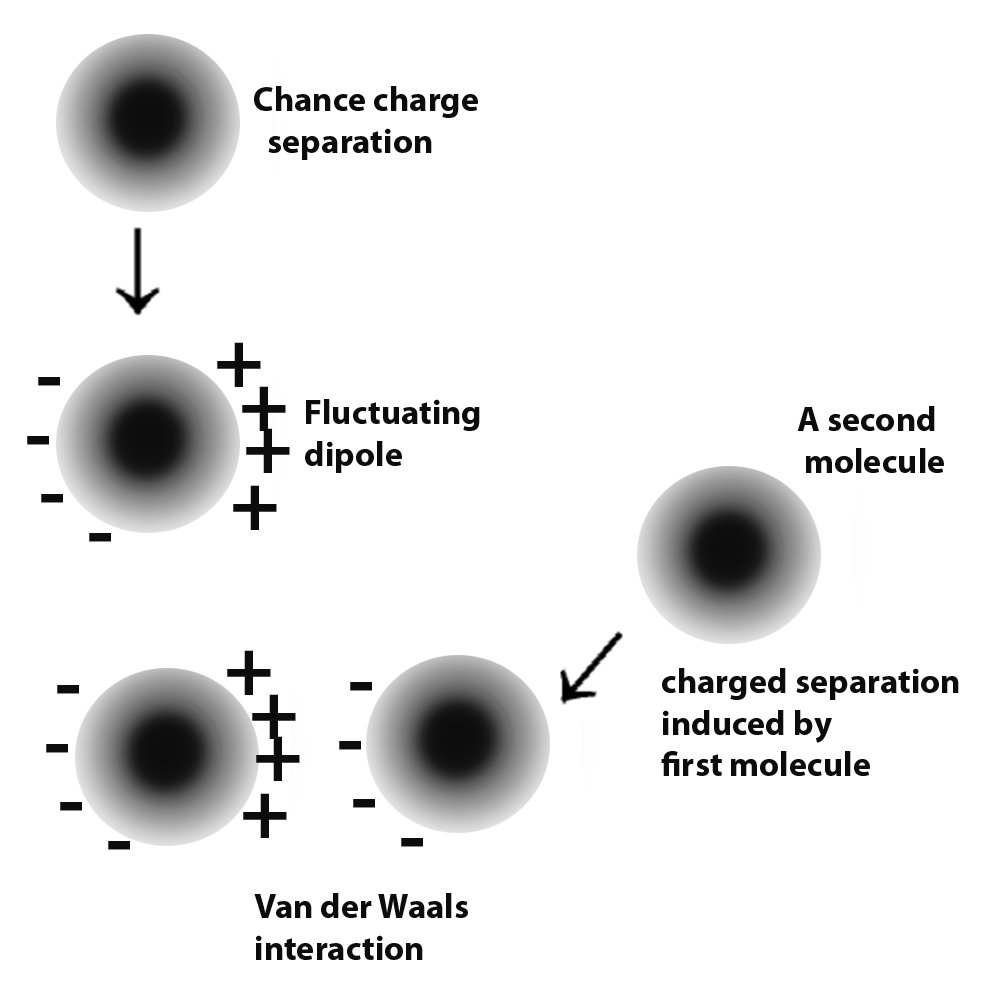 Van der Waals forces