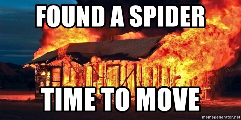 found-a-spider-time-to-move