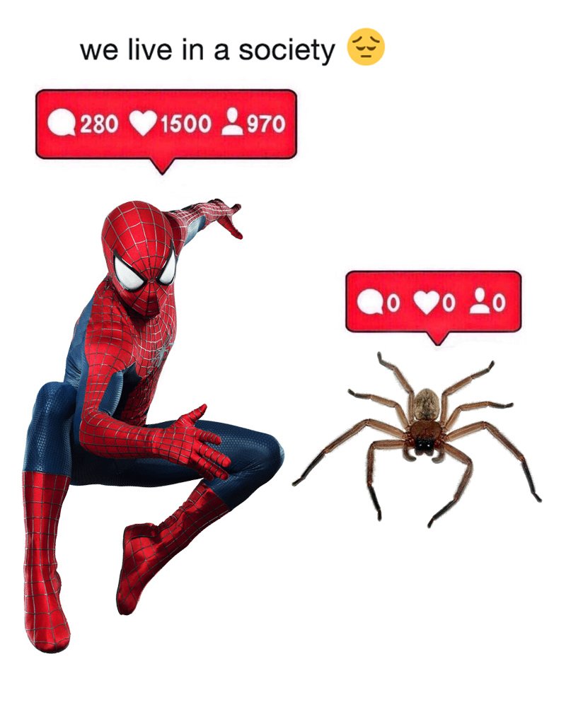 spiderman and spider template