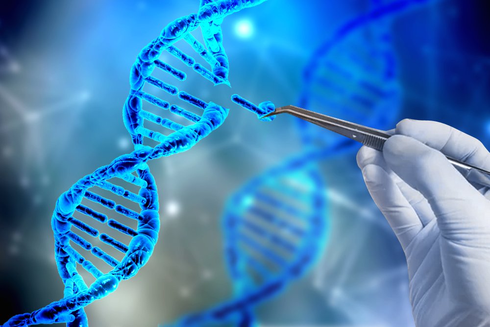 CRISPR, DNA