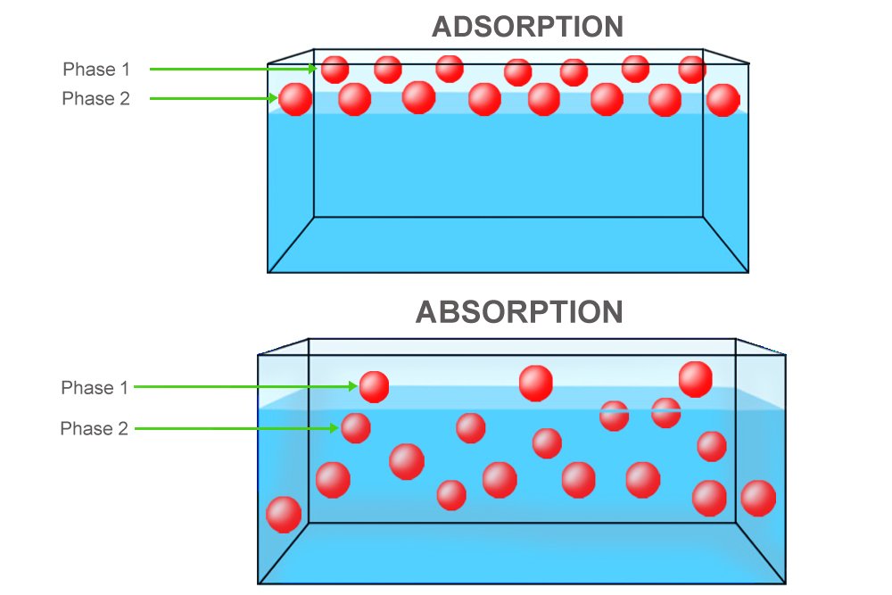absord vs adsorb