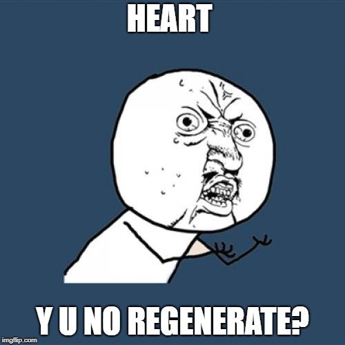 y u no regenerated