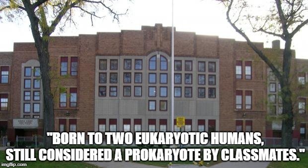 Born to two eukaryotic humans meme
