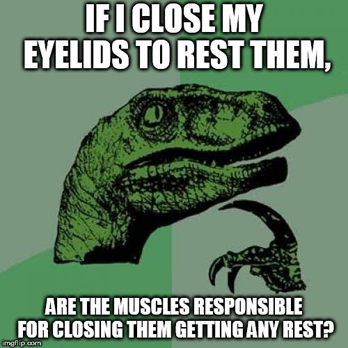 IF I CLOSE MY EYELIDS TO REST THEM, ARE THE MUSCLES RESPONSIBLE FOR CLOSING THEM GETTING ANY REST meme