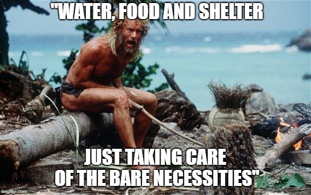 Water, food and shelter meme