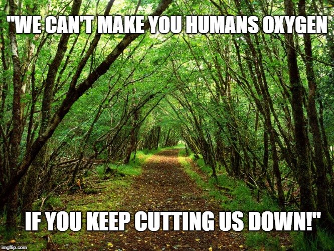 We can't make you humans oxygen meme