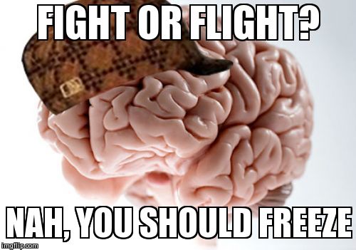 fight or flight meme