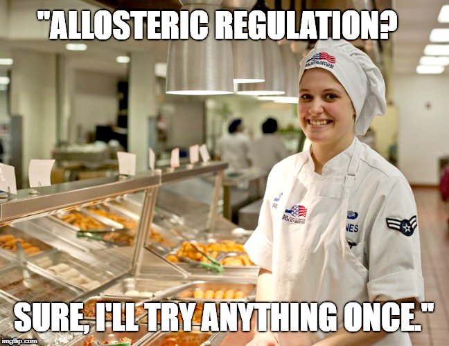 Allosteric regulation meme