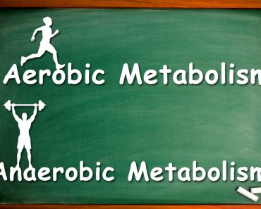 aerobic vs anaerobic