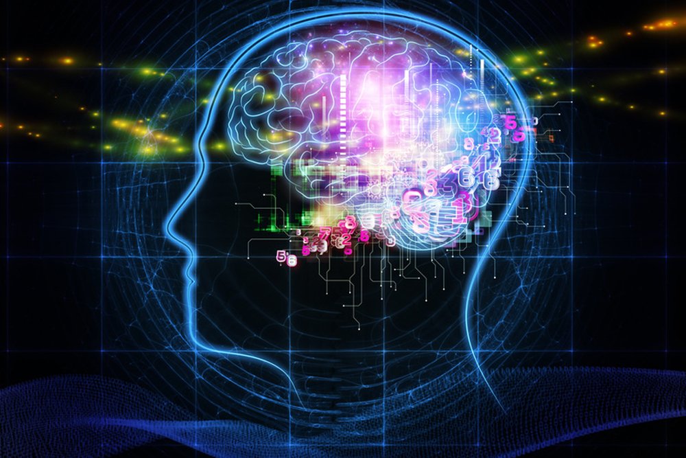 brain artificial intelligence