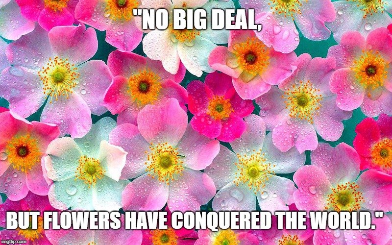 but flowers have conquered the world