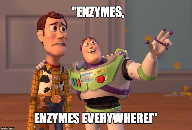 enzymes everywhere!