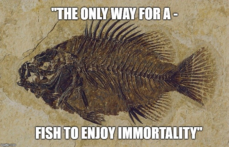 fish to enjoy immortality meme