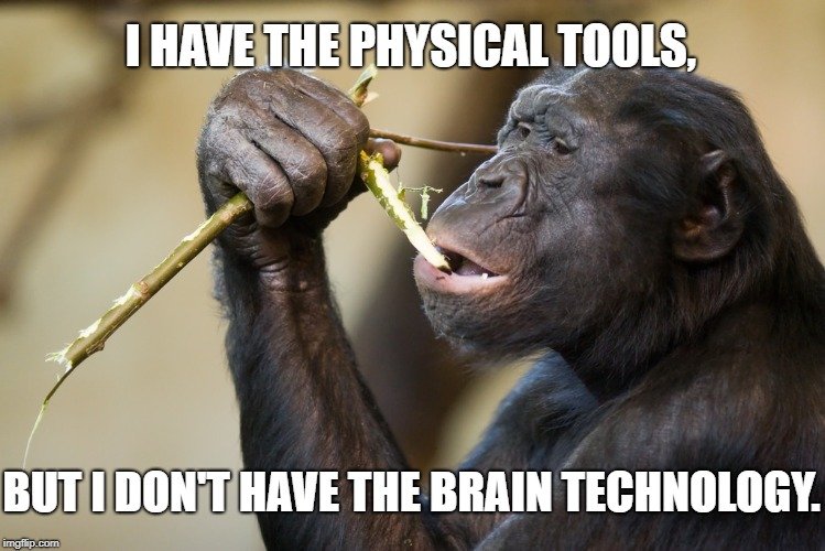 I have the physical tools meme