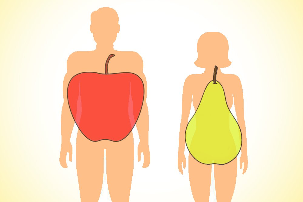 body apple and pear shape