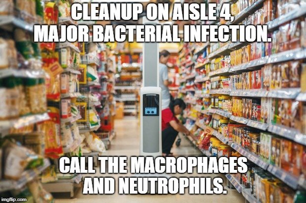 major bacterial infection. meme