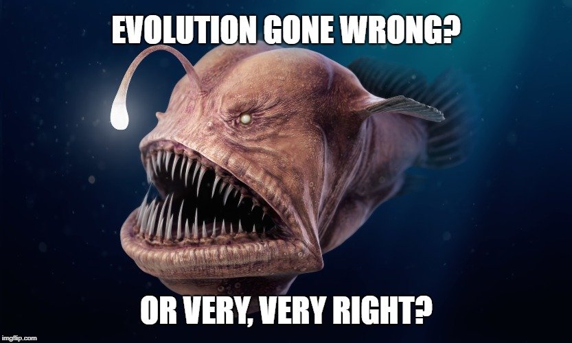 Evolution gone wrong meme