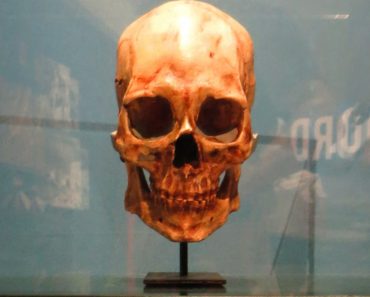 Kennewick man skull remains skeleton fossil
