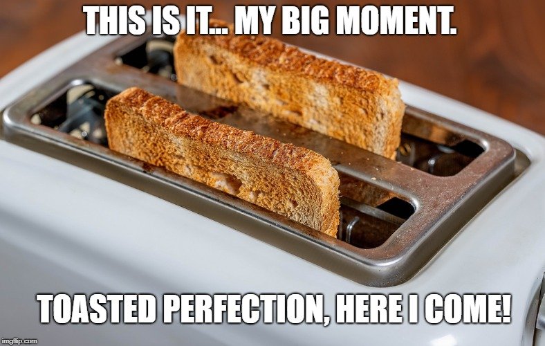 Toasted perfection, here I come meme