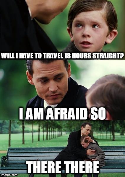 WILL I HAVE TO TRAVEL 18 HOURS STRAIGHT I AM AFRAID SO; THERE THERE meme