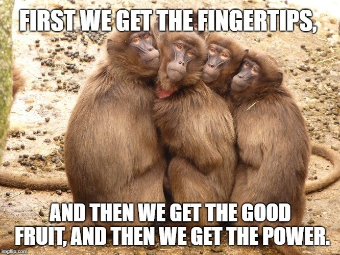 monkey group meme
