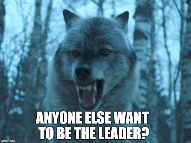 Anyone else want to be the leader meme