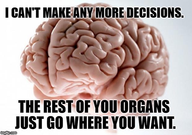 I can't make any more decisions meme