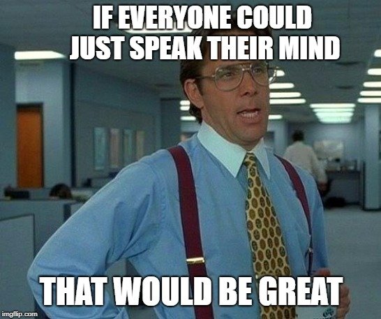 IF EVERYONE COULD JUST SPEAK THEIR MIND; THAT WOULD BE GREAT meme