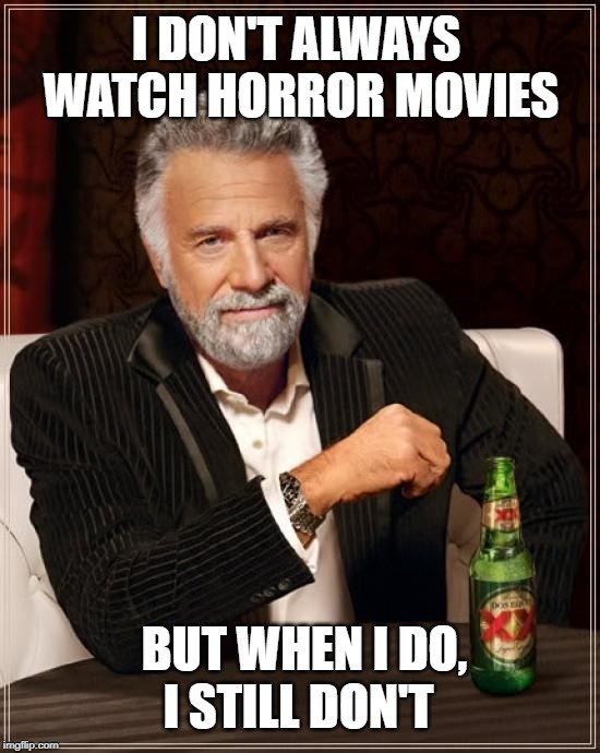 I DON'T ALWAYS WATCH HORROR MOVIES; BUT WHEN I DO, I STILL DON'T meme