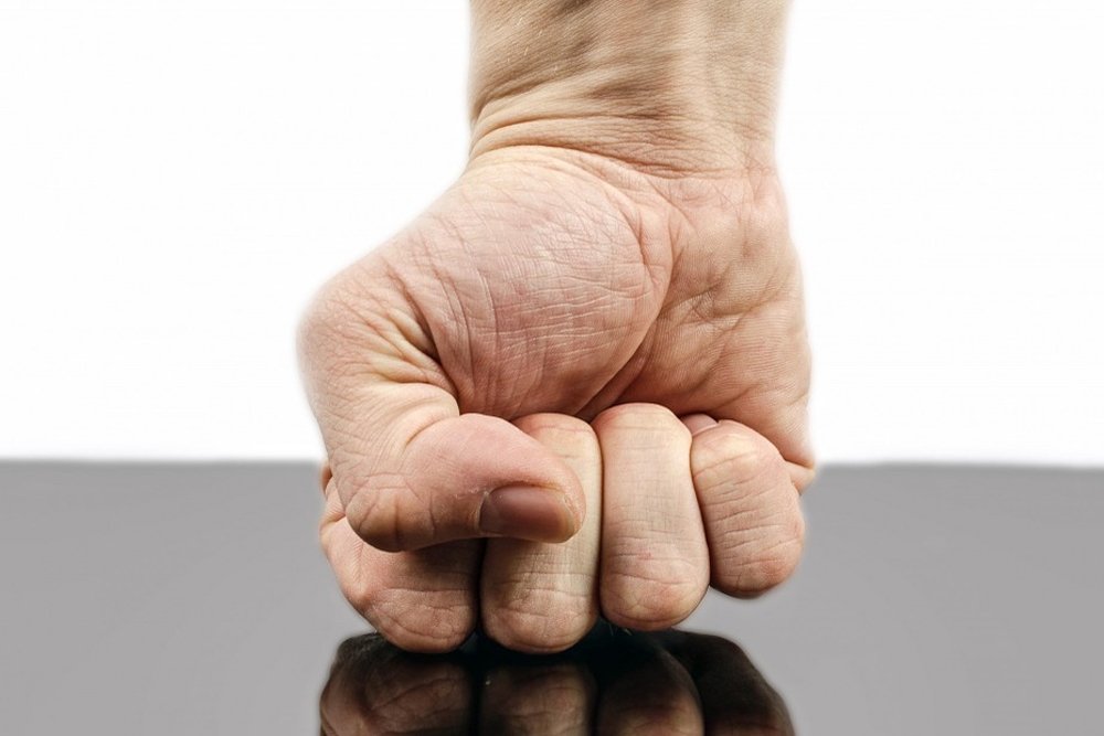 fist hand isolated