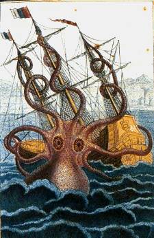 octopus, kraken