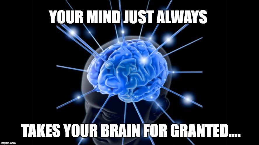 takes your brain for granted meme