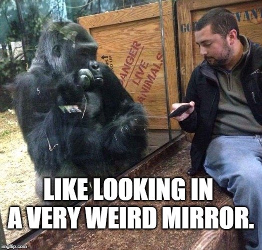Like looking in a very weird mirror. meme