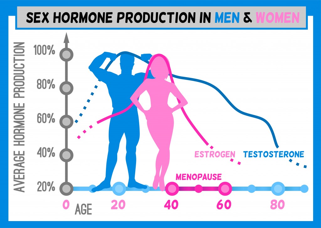 Sex hormone production in men and women. Average percentage from the birth to the age of eighty years. Beautiful vector illustration. Medical infographic useful for an educational poster design.Vector(Double Brain)