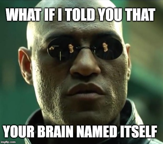 brain named itself meme