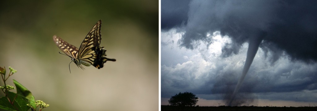 butterfly and tornado