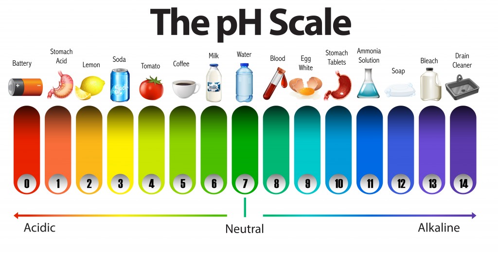 A pH scale on white background illustration - Vector(BlueRingMedia)s