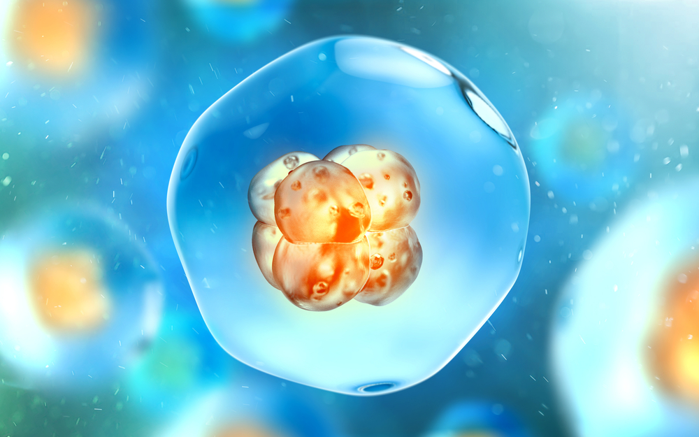 Cell division on a dark blue background. 3D illustration - Illustration( Andrii Vodolazhskyi)S