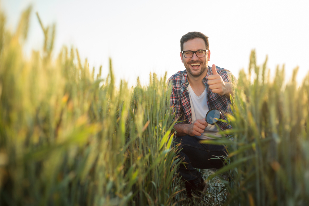 Happy young farmer crouching in a wheat field, inspecting plant development. Looking directly at camera and showing thumbs-up. Organic farming and healthy food production - Image(Gligatron)s