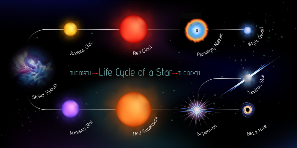 Vector illustration with stages of star life cycle from birth to the death. Fully editable, made of gradient meshes. - Vector( Marusya Chaika)s
