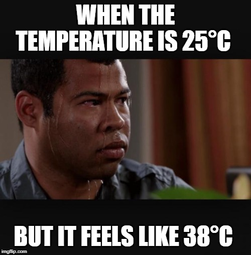 WHEN THE TEMPERATURE IS 25°C; BUT IT FEELS LIKE meme