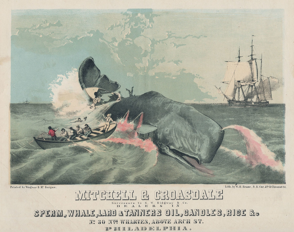 Whale hunting turned into a booming business for fisheries during the Industrial Revolution