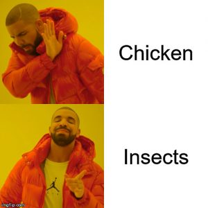 insect meme