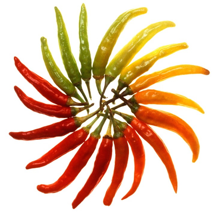 paprika chilies