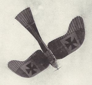 Rumpler Taube monoplane