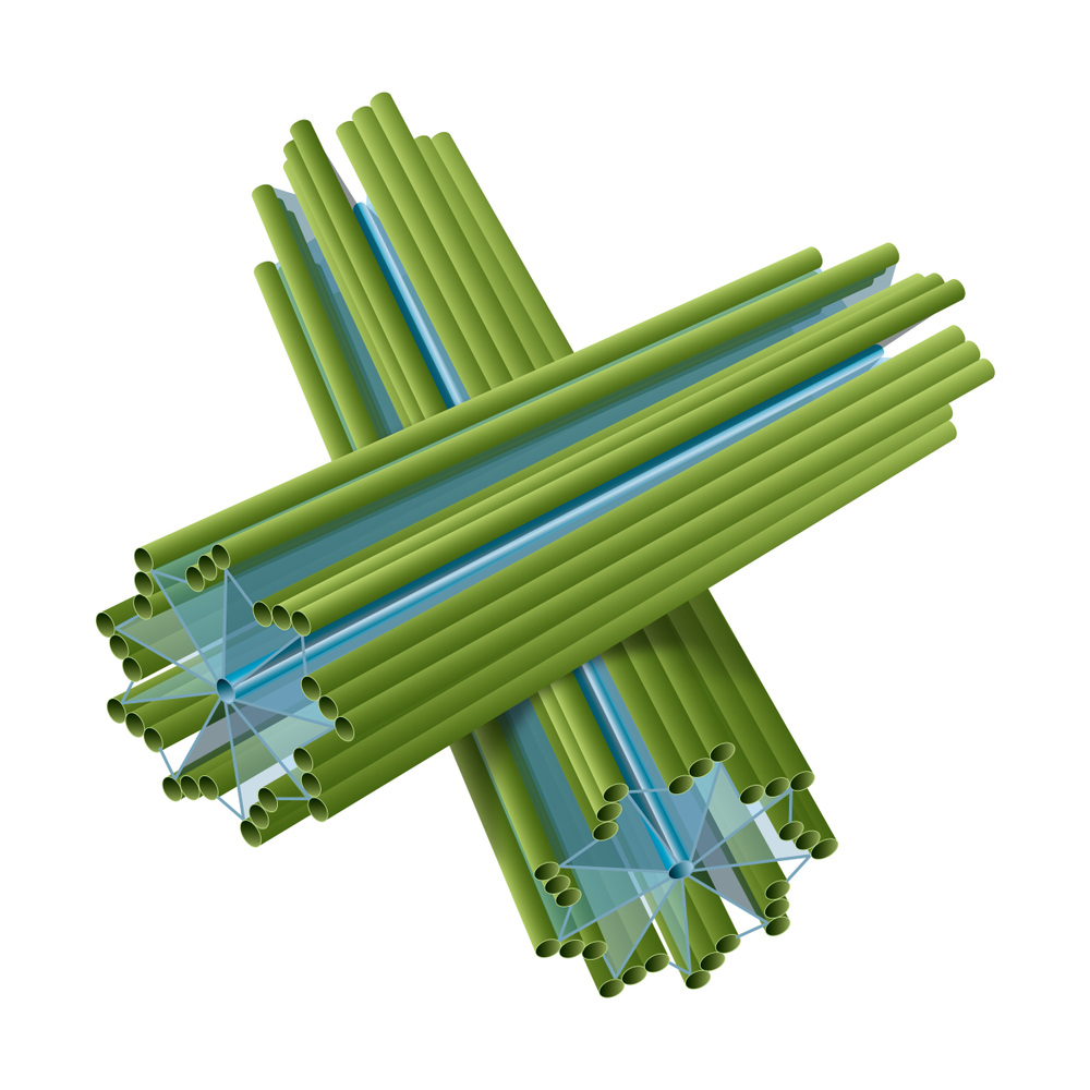 Cell structure of centriole. - Illustration( Aldona Griskeviciene)s